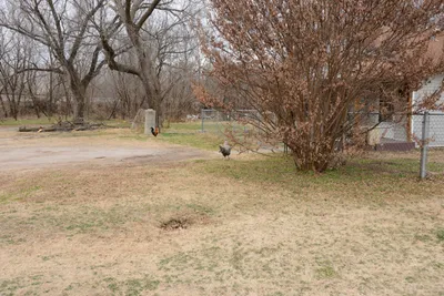 DSC_8411 (Large).JPG